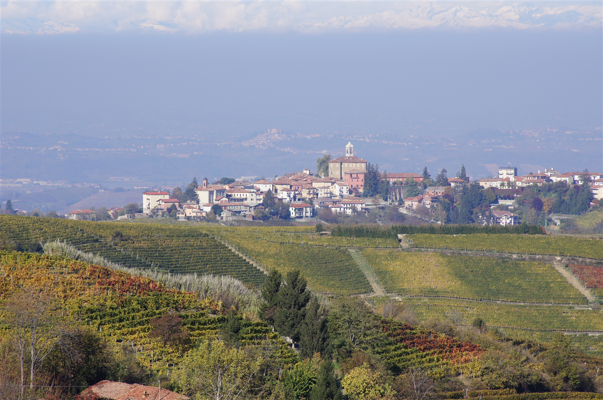 Comune di Mango Gallerie